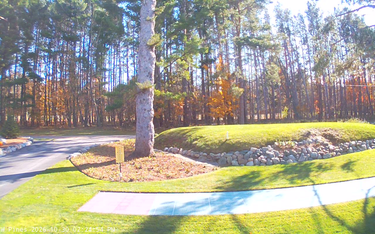 Driveway camera snapshot